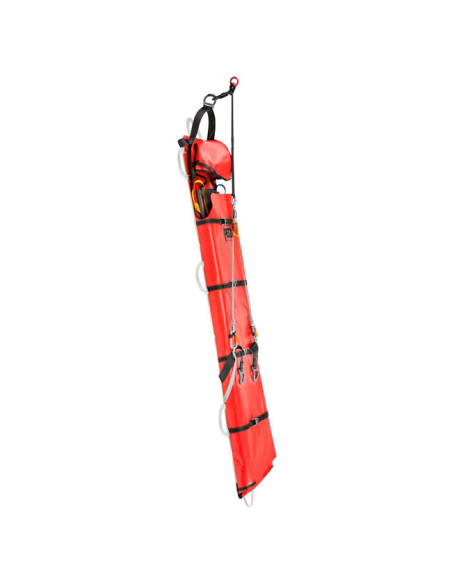 Petzl Stef (Nest posterior 2020)