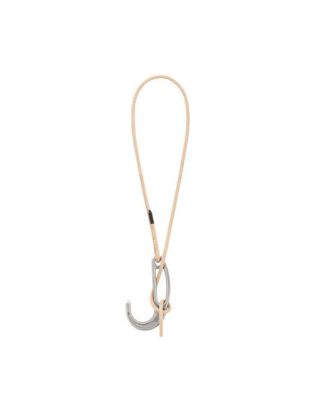 Petzl EXO AP Hook 15 m