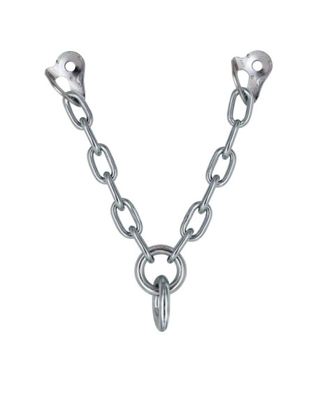 Fixe Reunión V Ecotri M10