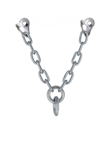 Fixe Reunión V Ecotri M12