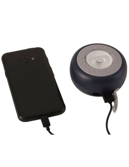 Farol Outwell Pegasus