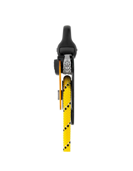 Petzl Pro Traxion Progress Capture Pulley