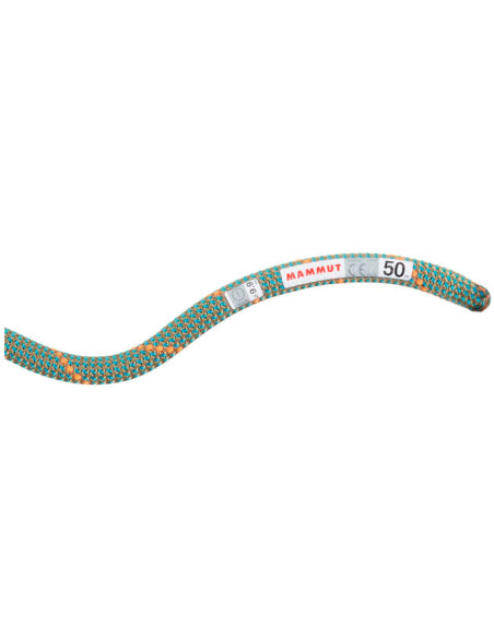 Cuerda Mammut Crag Workhorse Dry 9.9 mm x 70 m Stn 