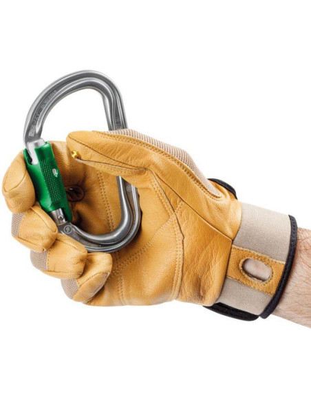 Petzl Am'D Pin-Lock (Pack 10)