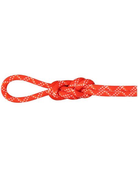 Mammut 9.5 Gym Classic Std X50m Raspberry/Wh