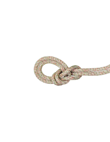 Mammut Crag We Care Cls Stnd 9.5 Mm X 60 m Assorted
