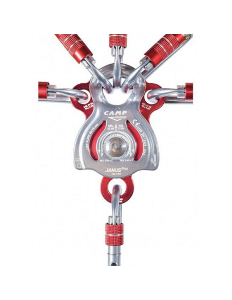Pas Petzl Arnes Sequoia
