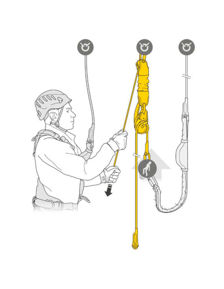 Salewa Ergo Belay System Night